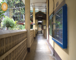Thumbnail for ALLEY GOING TO LIBRARY AND ENGINEERING DEPT